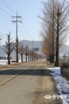 명품 가로수길 싹뚝