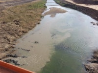 서산 청지천 고향의 강서 불법 난무