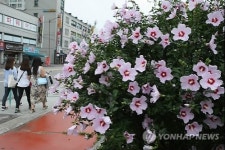 가로수마저… 뿌리 내린 日 잔재