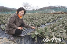 선화천년초농장 차정순 대표, 천년초로 억대 매출