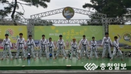 [포토] 2015 청남대 영춘제, 저희 태권도 실력 보실래요~?