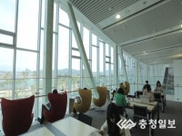 [영상] 세계에서 가장 아름다운 국립세종도서관