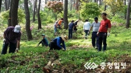 홍성군 결성면 좌우촌 마을, 석당산 가꾸기 추진