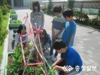 아산용연초등학교, 농업체험학습장(스쿨팜) 운영