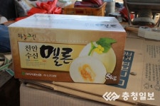 신세계 충청점 푸드스트리트 천안 수신메론 특별전 진행