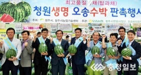 청원생명 오송수박 특판행사