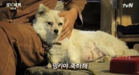 삼시세끼 귀요미 밍키, 엄마된다… 옥순봉 경사났네