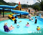 단양천동물놀이장 알뜰 피서지로 인기