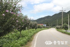 진천 무궁화 가로수길 눈길