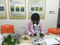홍성군, 딸기 화아 분화 검경실 운영 농가 큰 호응