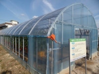 충주시, 아치형 PC 시설하우스 국내 첫 개발