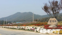 음성 생극면 임곡리, 아름다운 화단조성 눈길