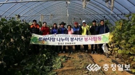 음성군 문화홍보과, 농촌일손 돕기 앞장