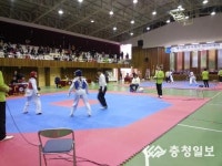 예산교육지원청, 제13회 교육장기 태권도대회 성료