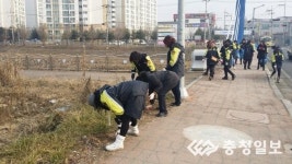내수읍 직능단체 한마음 한뜻 환경정비