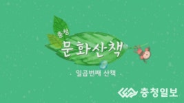 [영상] 충청 문화산책 - 일곱번째 산책(음원, 음반차트)