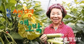 청원생명 애호박이 나왔어요