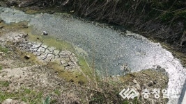 축산분뇨 무단방류, 삽교천 수질오염 심각