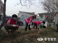 월성천변에 코스모스 씨 파종