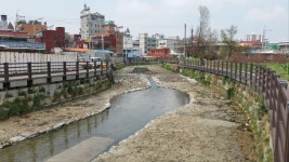 성정천 4년만에 생태하천으로 변신