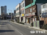 전국체전 대비 가로수 갱신