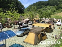 캠핑의 계절이 돌아왔다 좌구산 오토캠핑장 북적