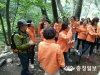 피톤치드 가득한 숲 속으로 힐링하러 오세요