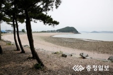 몽돌 깔린 해변에 기암괴석·소나무의 절경물 맑은 서산 벌천포 해수욕장 피서지 각광