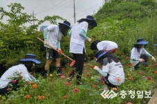 군산간호대 학생, 당진서 농활