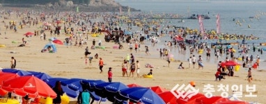 여름휴가 절정 북적거리는 대천해수욕장