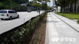 도시 사막화 막는다 명품 가로숲길 조성