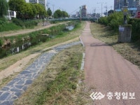 동남구청, 도심하천변 제초작업 마쳐
