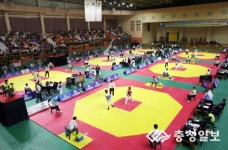25회 국방부장관기 전국단체대항 태권도 대회 및 2017년도 국가대표 선수 선발 예선 대회
