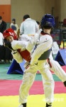 25회 국방부장관기 전국단체대항 태권도 대회 및 2017년도 국가대표 선수 선발 예선 대회