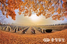 전국사진공모전 입상작 보러오세요