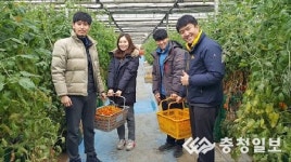 농협 새내기들, 농촌체험 구슬땀 