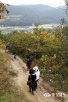 이달의 걷기 좋은 길 소백산 자락길 6코스