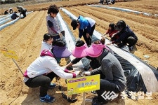 충북농협 주말농부를 찾습니다