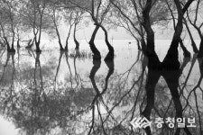 사진 속 금강·대청호에서 물의 소중함 되새겨