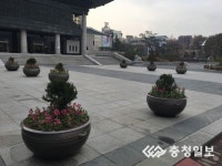 더 花사해진 청주예술의전당