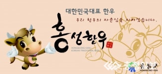 홍성 한우 명품화 사업 본격 돌입