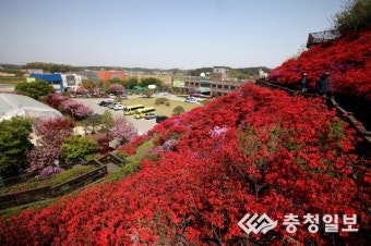 당진서 어린이날 행사 풍성