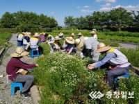 한국동서발전(주) 당진화력본부, 재가노인복지시설 방문 허브농장 허브꽃 채취
