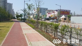 띠녹지조성사업으로 명품 가로수길 조성