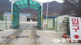 AI 악몽 재현될까  옥천지역 긴장