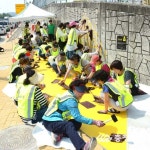 증평군, 학교 앞 옐로카펫 설치
