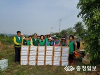 천안 성남면 새마을부녀회, 불우이웃돕기용 감자 수확