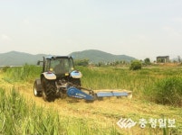 충주, 야초 수확작업 한창
