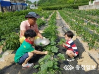건강 먹거리 기르며 가족간 유대감도 쑥쑥