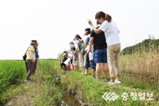 서산버드랜드, 여름방학 특별프로그램 운영
